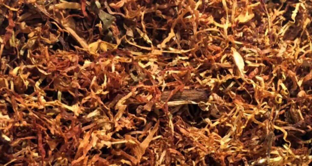 Крупный план листьев мохнатого табака